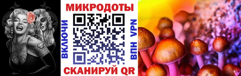 Галлюциногенные грибы Psilocybe Орехово-Зуево
